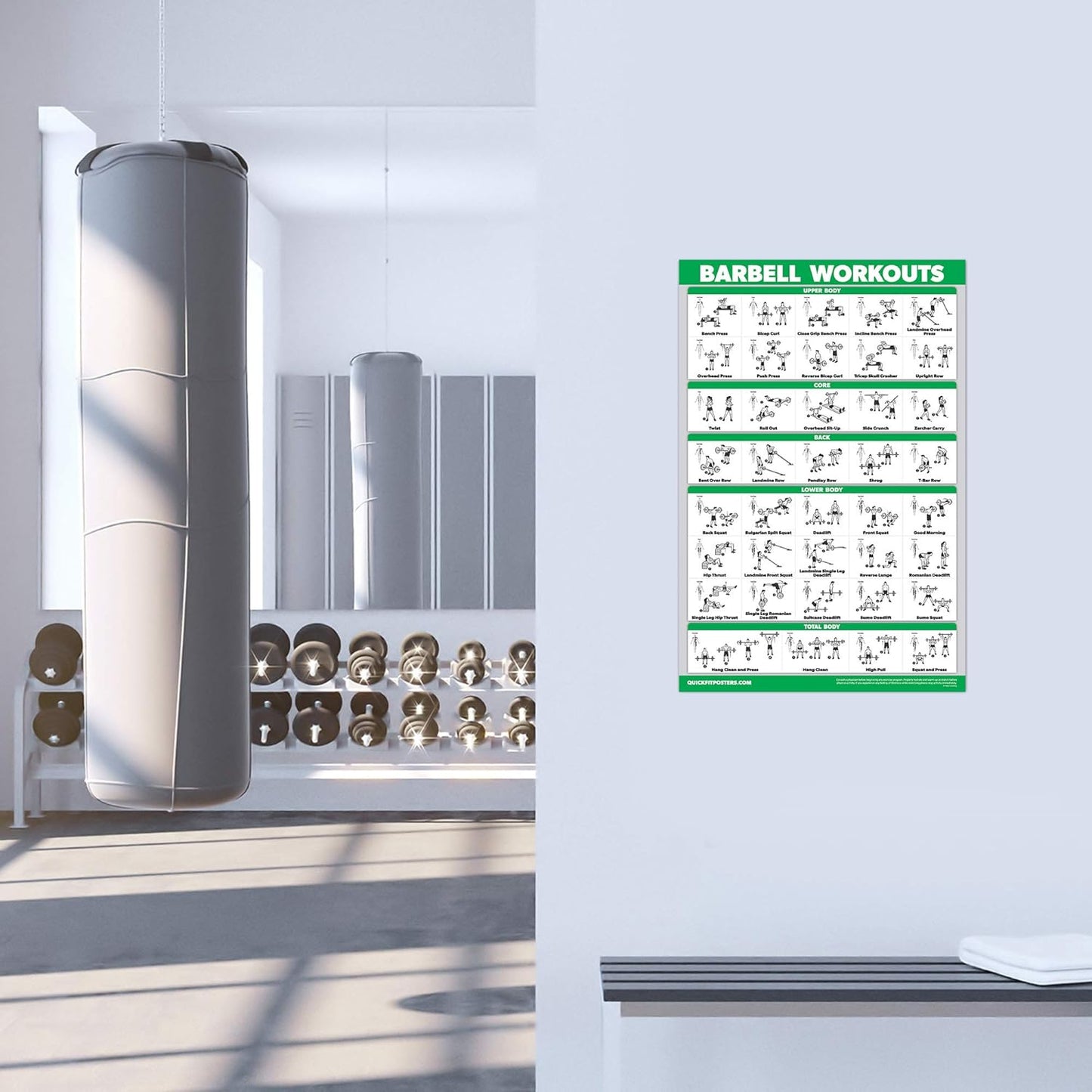 QuickFit Dumbbell Workout Poster Set | Laminated 3-Pack of 18" x 24" Exercise Charts