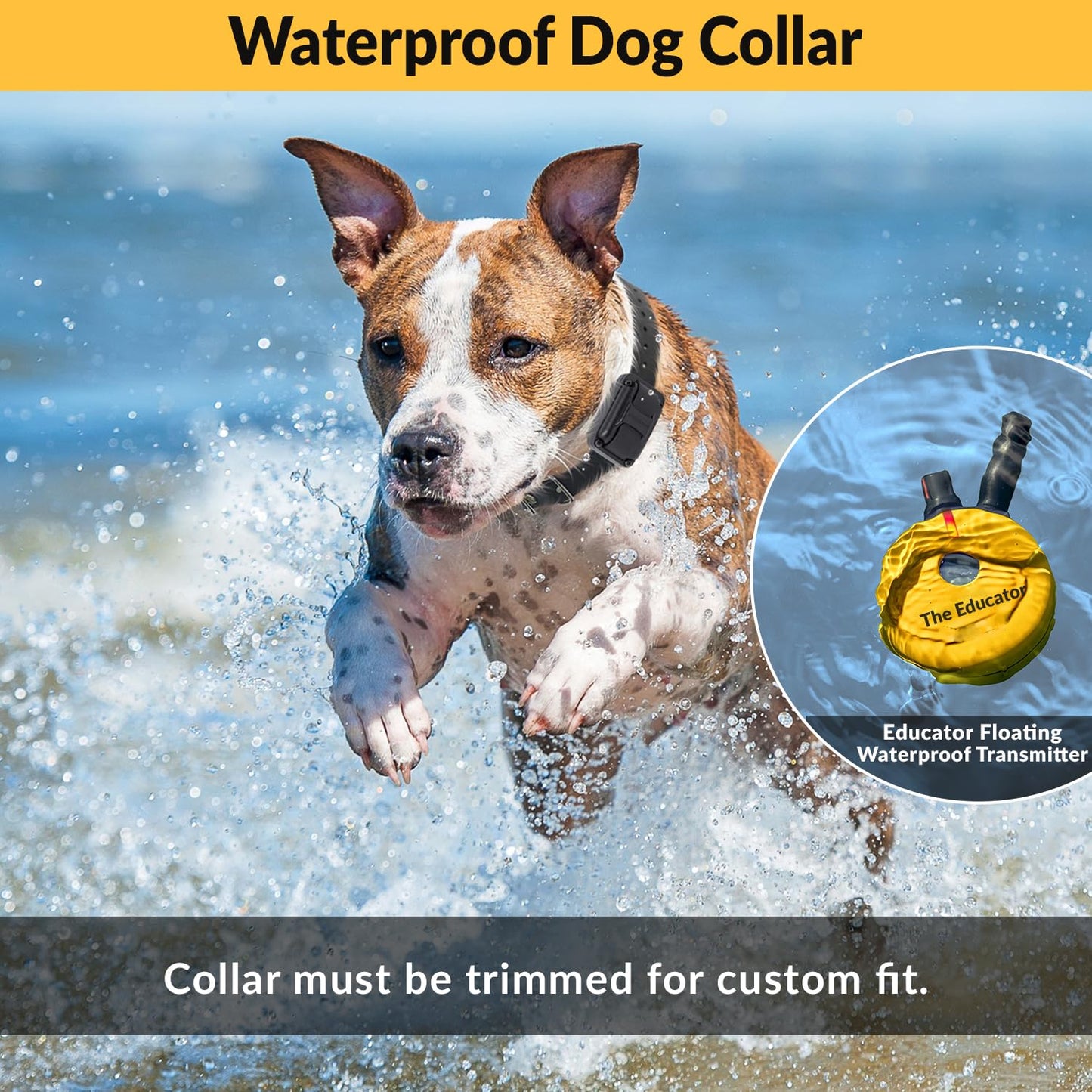 E-Collar Educator ET-400 Dog Training Collar with Remote, Yellow