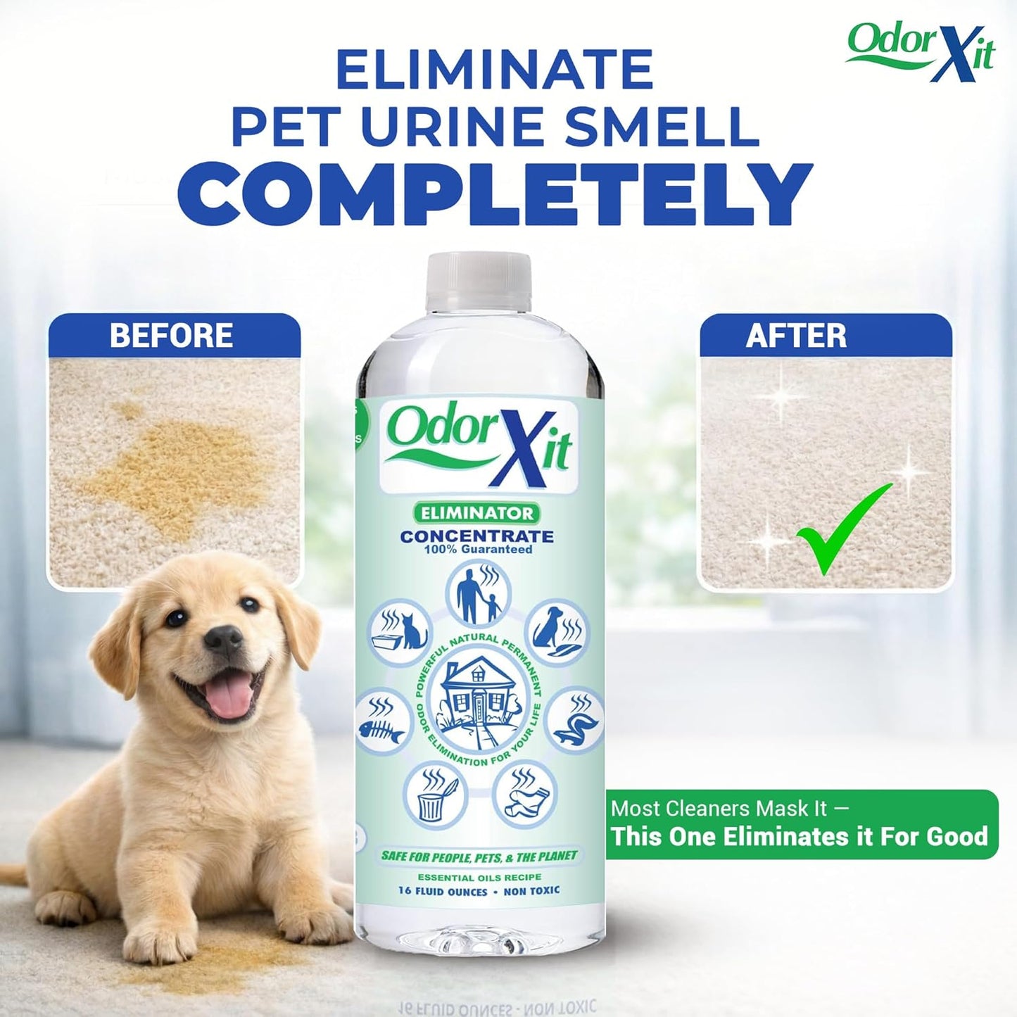 Pet Urine Odor Eliminator - Natural Deodorizer for Cats & Dogs | 16oz Concentrate