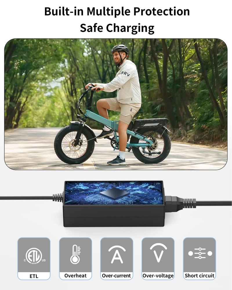 VHBW 54.6V for Heybike Electric Bike Charger Compatible with Heybike Race Max/Sola/Ranger S/Horizon/Tyson/Cityrun, Portable E-Bike Charger Power Adapter with LED Indicator