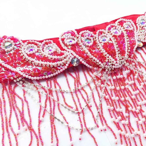 ROYAL SMEELA Belly dance Costume Set Professional For Women Carnival Bellydance Bra and Belt, Red, Medium