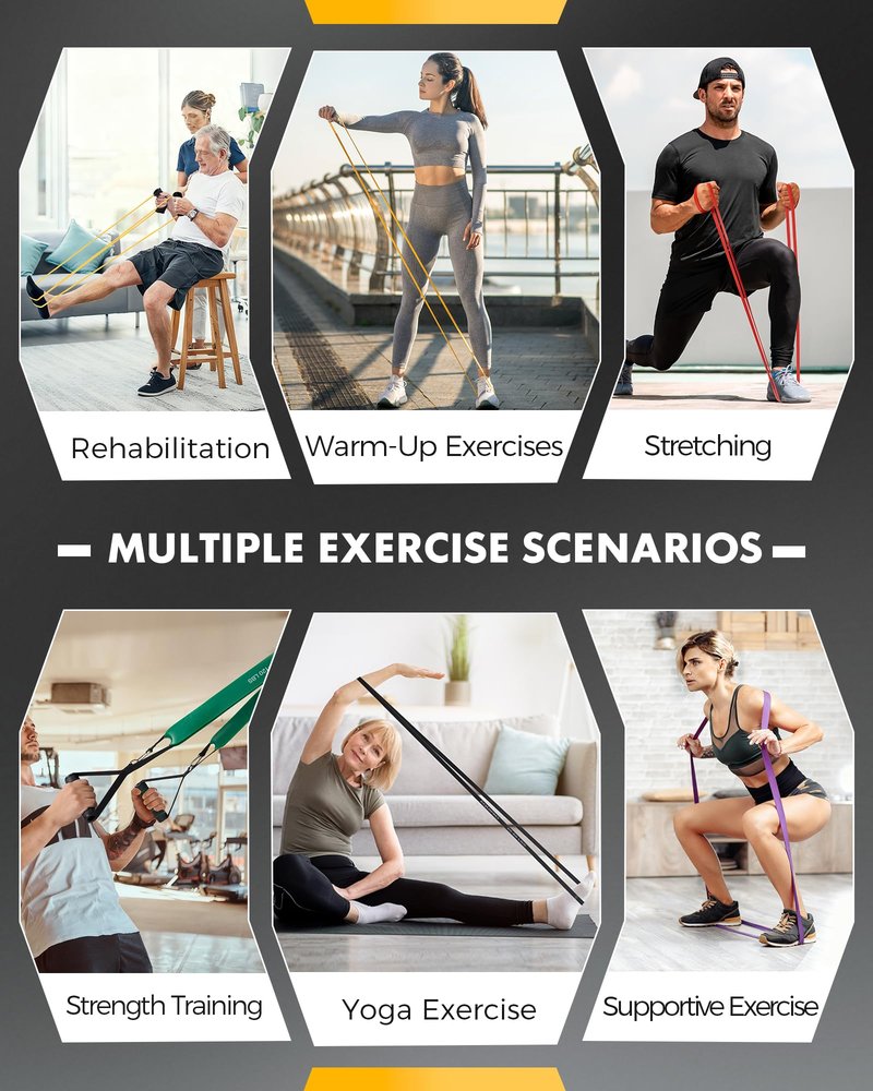Equipro Resistance Bands, Exercise Bands, Resistance Bands for Working Out with Handles and Door Anchor, Workout Bands for Men Women with Protective Sleeve for Fitness Weights Work Out at Home