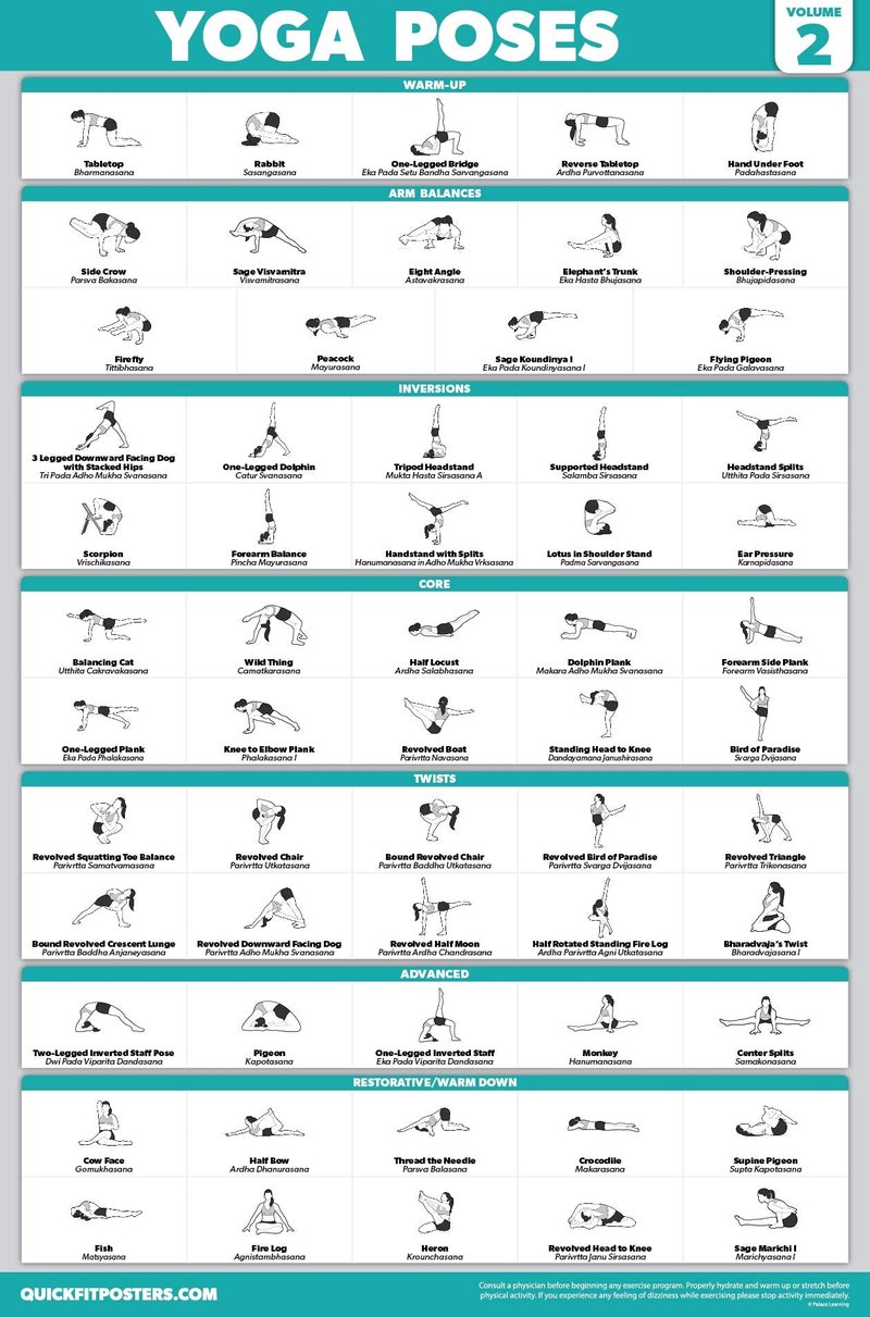 20 Pack - Exercise Workout Poster Set, Dumbbell, Suspension, Battle Rope, Stretching, Bodyweight, Barbell, Yoga, Exercise Ball, Kettlebell, Resistance Bands and More (PAPER - NOT LAMINATED, 18" x 24")