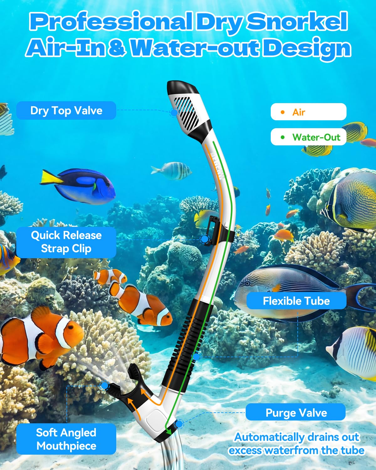 Aegend Snorkel Diving Mask for Adult Men Women – Diving Goggles Anti-Fog Tempered Glass Lens | for Adult Snorkeling, Swimming & Diving Gear (Black & White-2 Pack)