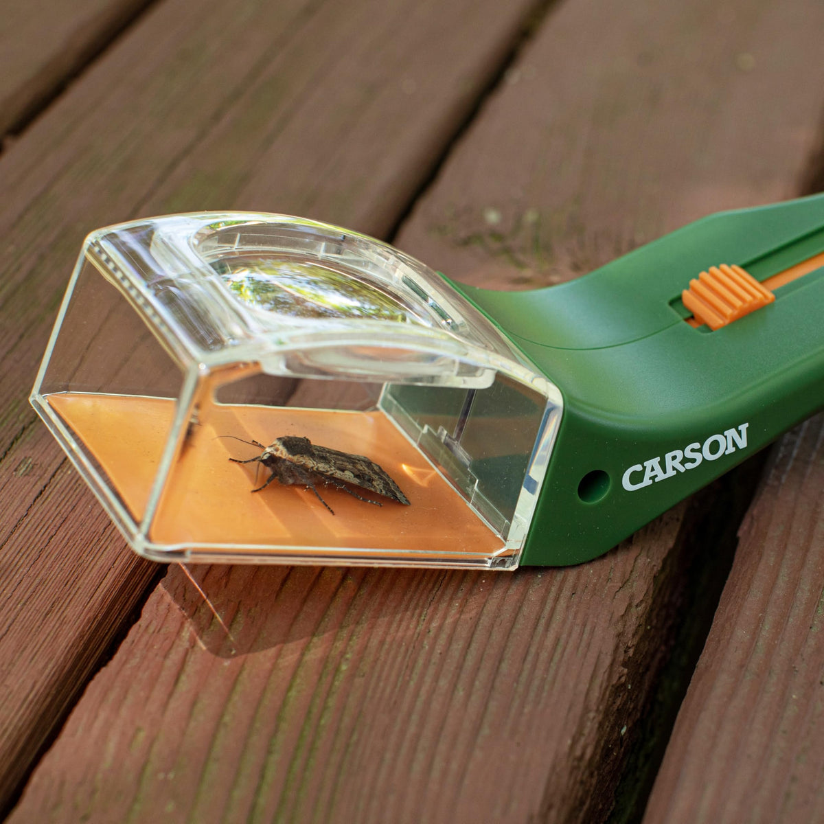 Carson BugView Bug Catcher Indoor and Outdoor Tool and Magnifier for Kids and Adults - Set of 6 (HU-10MU)