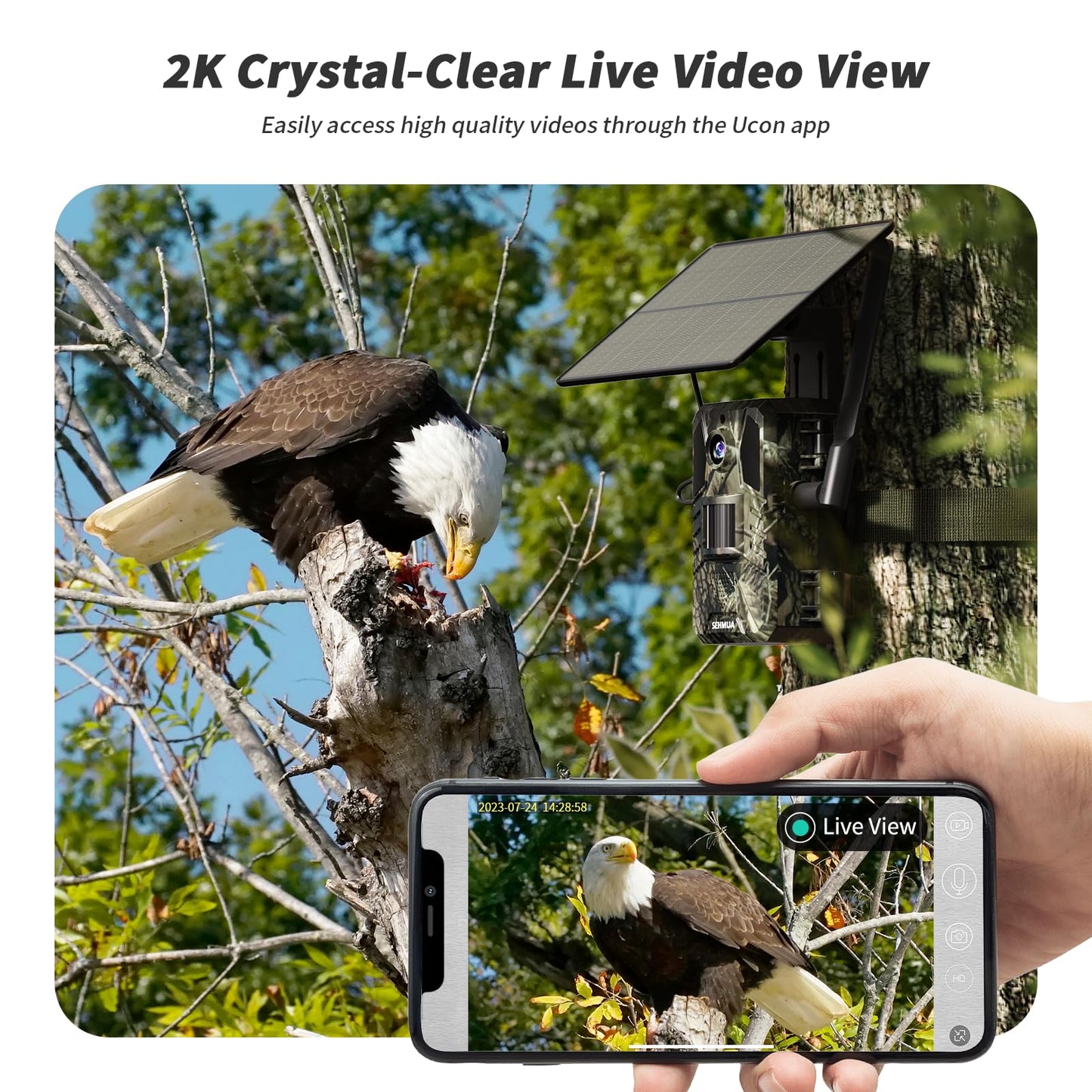 SEHMUA Trail Cameras, Game Camera with Live Streaming Built-in 4G LTE SIM Card Cellular Trail Camera No Wi-Fi Solar Trail Camera