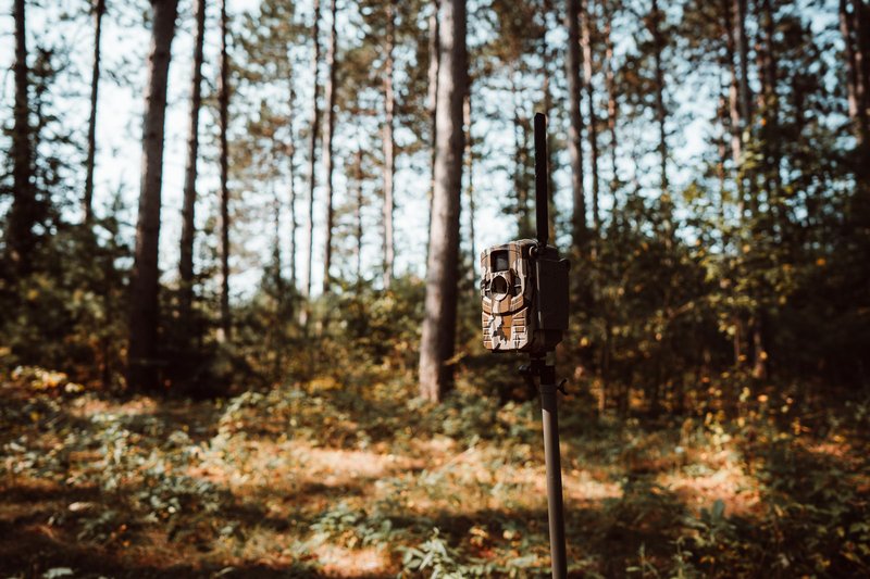 Stealth Cam Connect Max 2.0