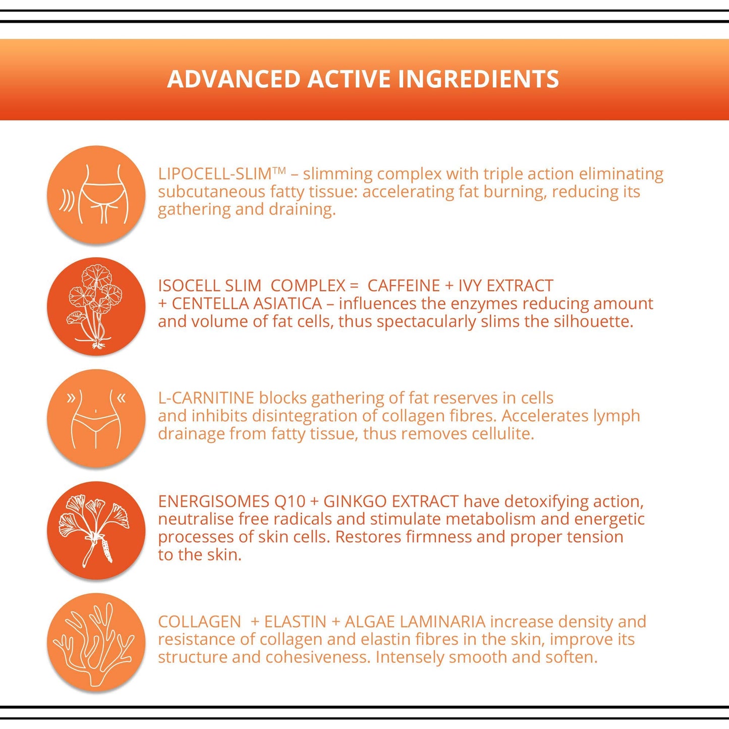 Eveline Slim Extreme 4D Liposuction Body Serum, 8.80 Fluid Ounce