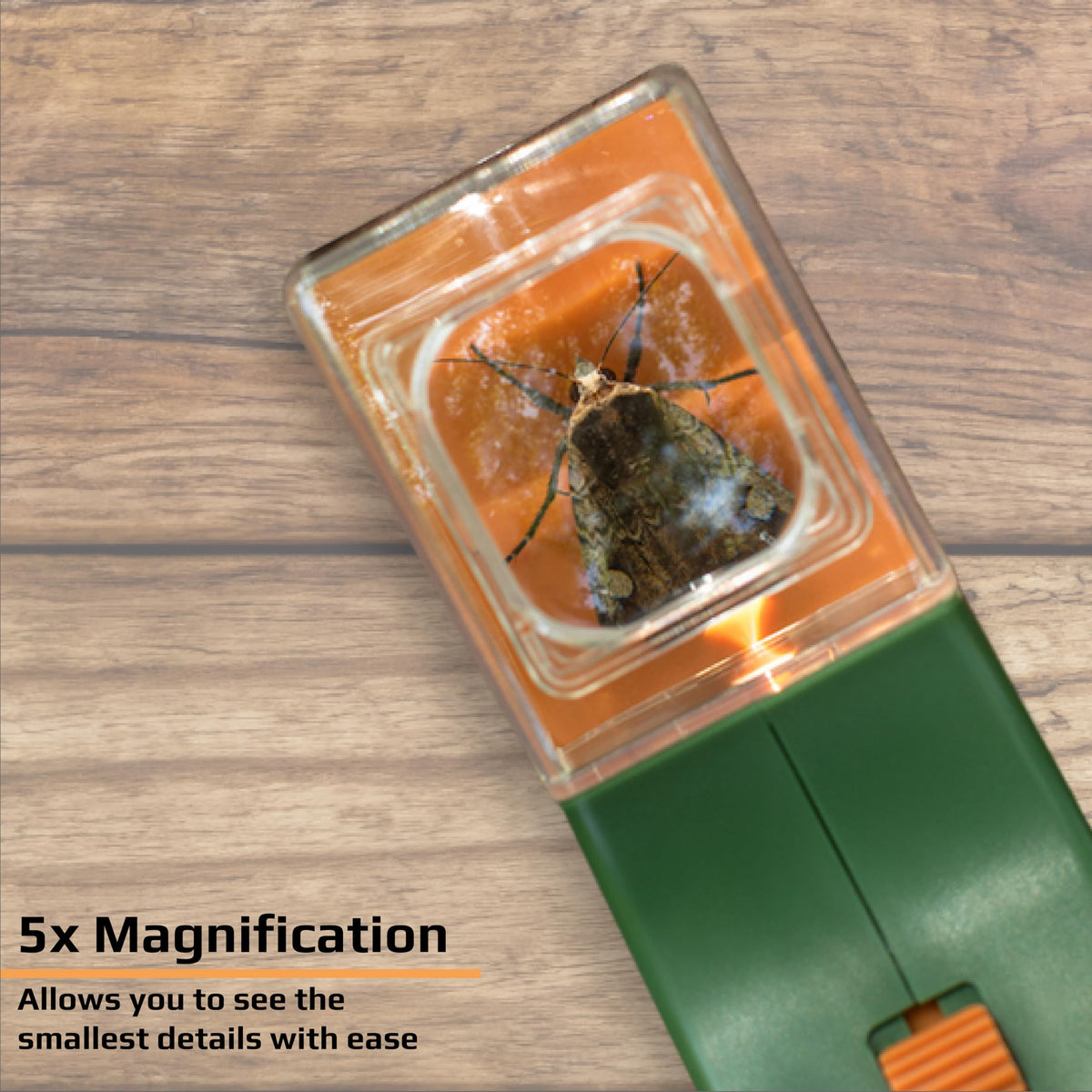 Carson BugView Bug Catcher Indoor and Outdoor Tool and Magnifier for Kids and Adults - Set of 6 (HU-10MU)