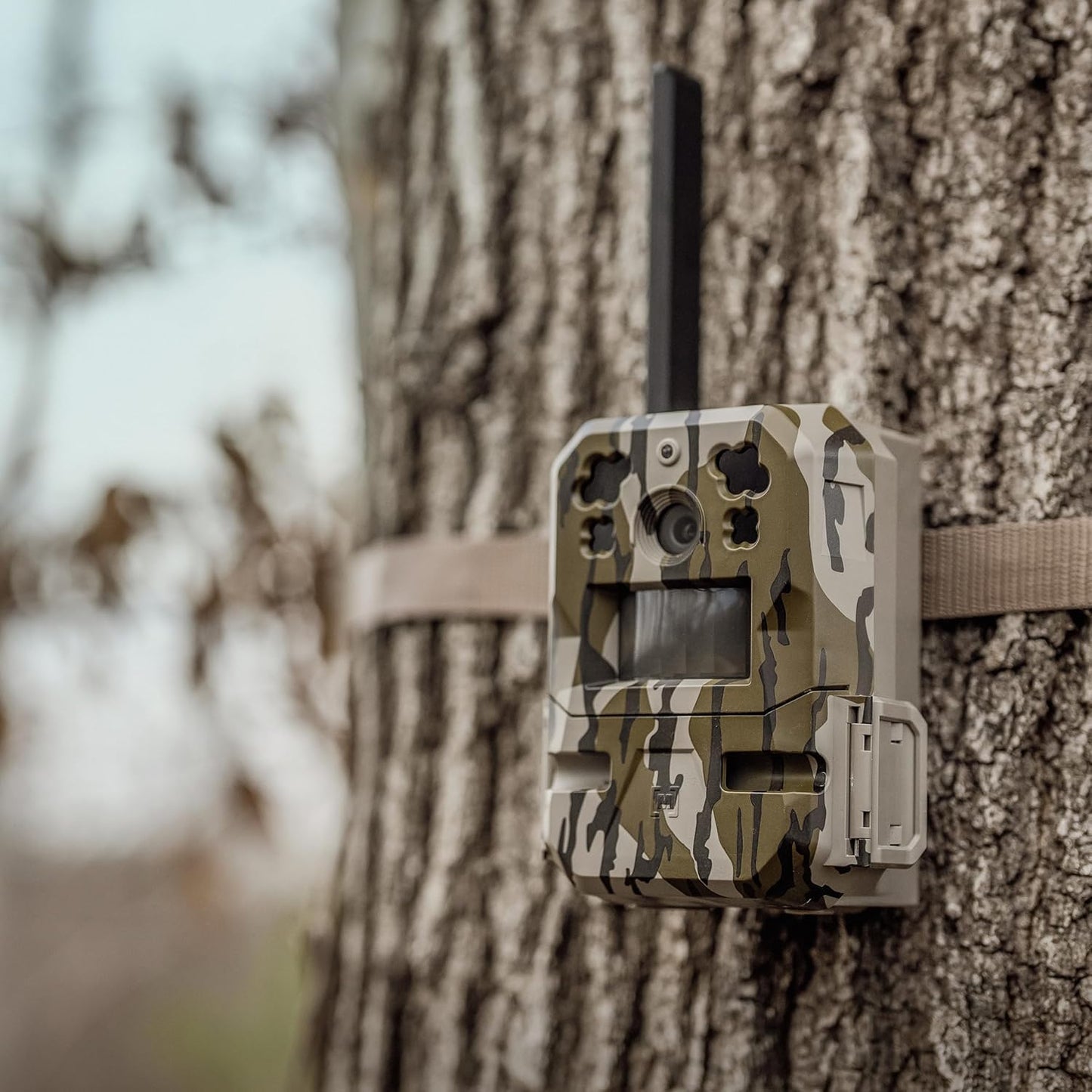 Moultrie Edge Pro Cellular Trail Camera - 1080p HD Video, Auto Connect, 100ft Detection Range | Nationwide Coverage, False Trigger Tech