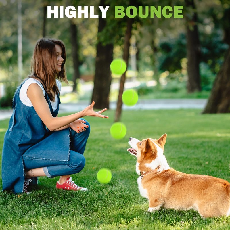 FURWEY 24 Pack Tennis Balls,Thickened Tennis with Mesh Bag for Transport,High Elasticity Training Balls for Beginner, Playing Balls for Dogs
