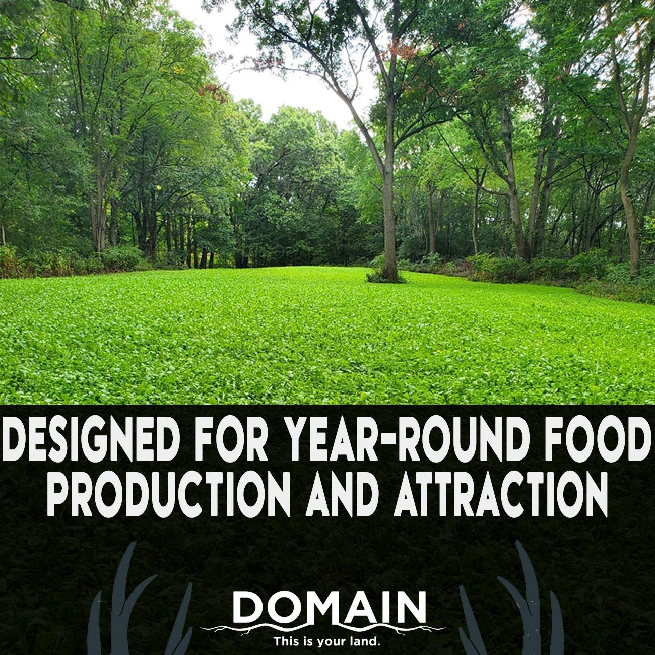 Domain Outdoor Comeback Kid Food Plot Seeds for Deer, Special Varieties of Clover & Alfalfa, Great to Plant in Spring, High Protein Forage, Year-Round Attraction, Lasts up to 5 Years, 1/2 Acre