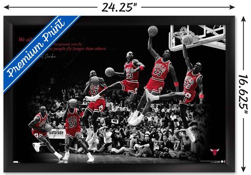 Trends International Michael Jordan - Fly Wall Poster, 14.725" x 22.375", Black Framed Version