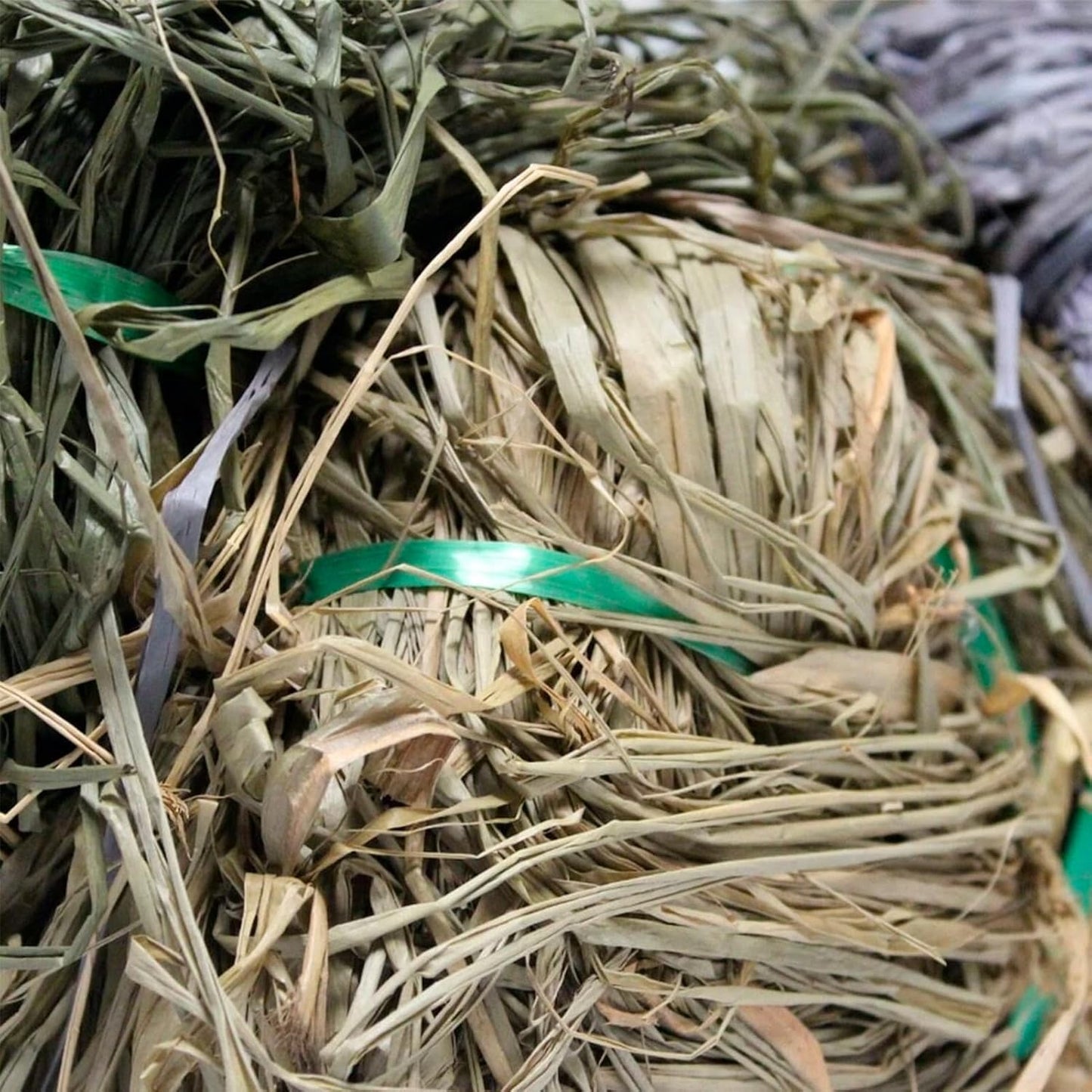 Avery KillerWeed Boat Blind Kit - 5 Lbs Realistic Palm Fiber Camouflage for Waterfowl Hunting | Concealment Material Pack
