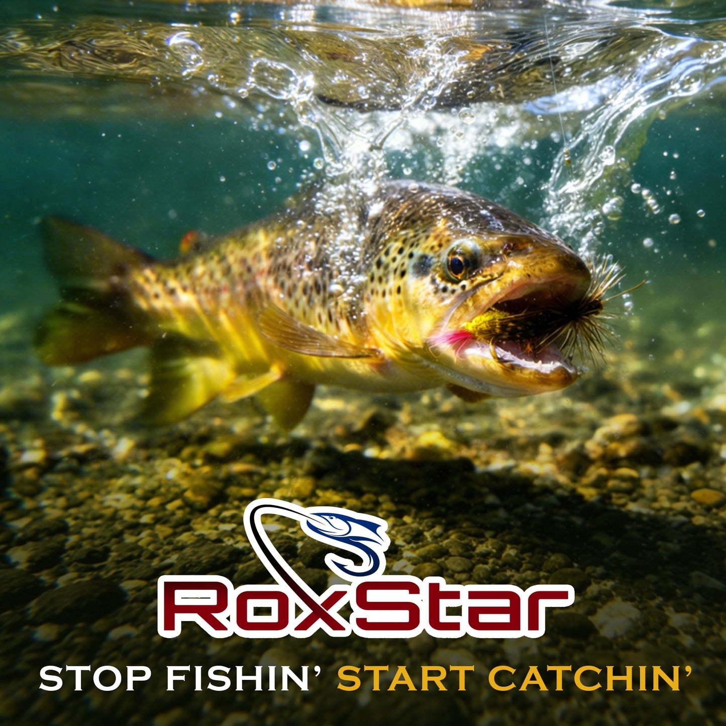 RoxStar Lures Dry Fly Assortment for Trout | 60 Hand Tied Fishing Flies | Match the Hatch Variety Pack | Sizes #8–#20 | Proven River, Stream & Lake Patterns
