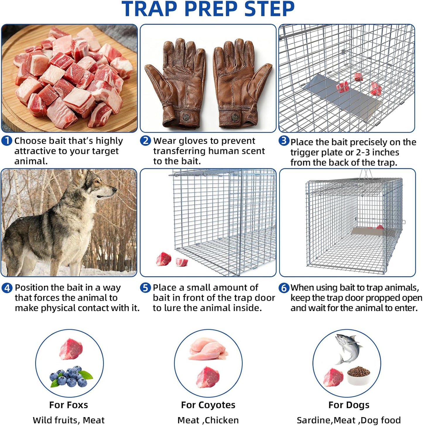 Humane Live Animal Trap Cage - Large Foldable 51.1"x17.4"x18.9" | Powder-Coated Alloy Steel for Raccoon, Fox, Stray Cat & More