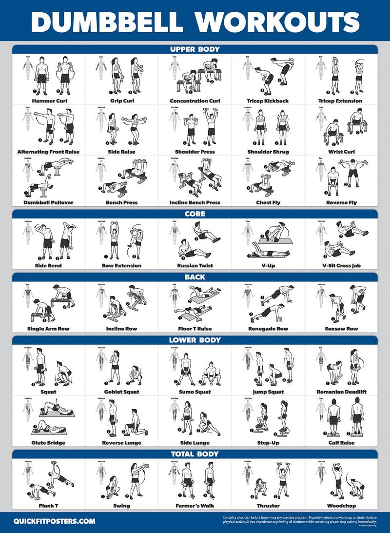 Palace Learning 3 Pack - Cable Machine Workout Posters Volume 1 & 2 + Dumbbell Exercise Chart (LAMINATED, 18" x 24")
