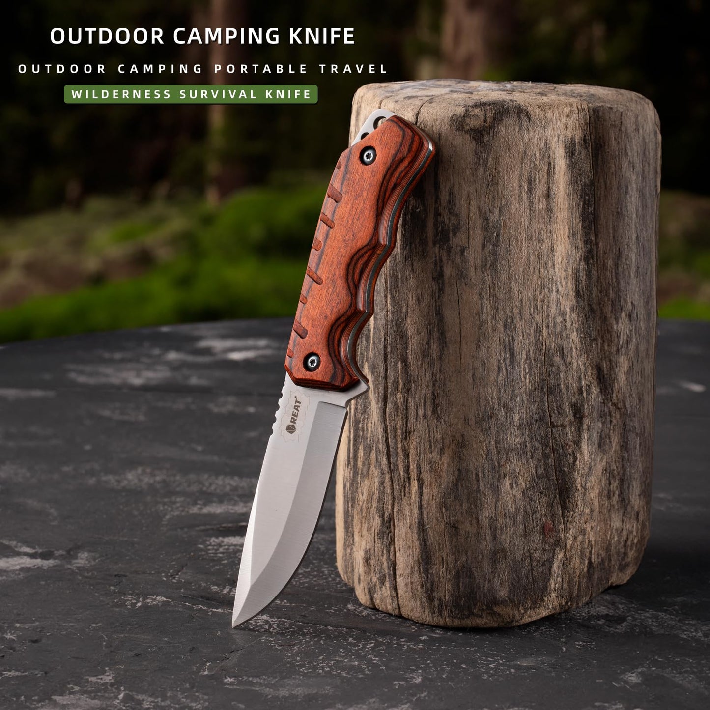 REAT Fixed Blade Knife,8 inch 440 Stainless Steel Bushcraft Knife for Camping,Skinning,Outdoor,Wood Handle,Nylon Sheath Included,Gifts for Husband,Father,Friend