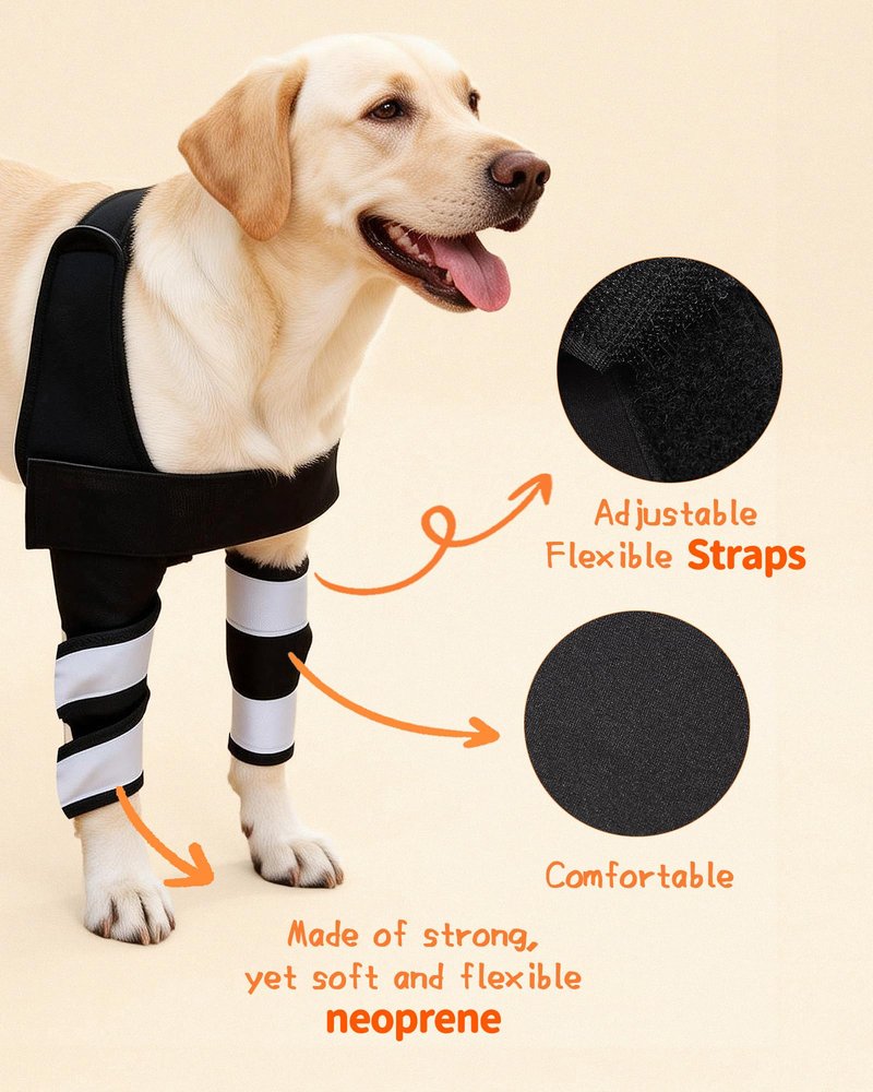 Petanims Dog Front Leg Brace - Knee/Carpal/Wrist Support for Dogs, Adjustable Dog Elbow Brace with Shoulder Support, Reflective Dog Elbow Protector for Pain Relief & Better Recovery, Small
