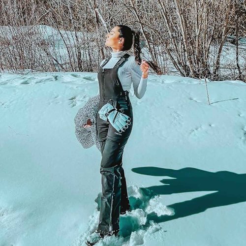 Arctix Women's Essential Insulated Bib Overalls, Amethyst, 3X