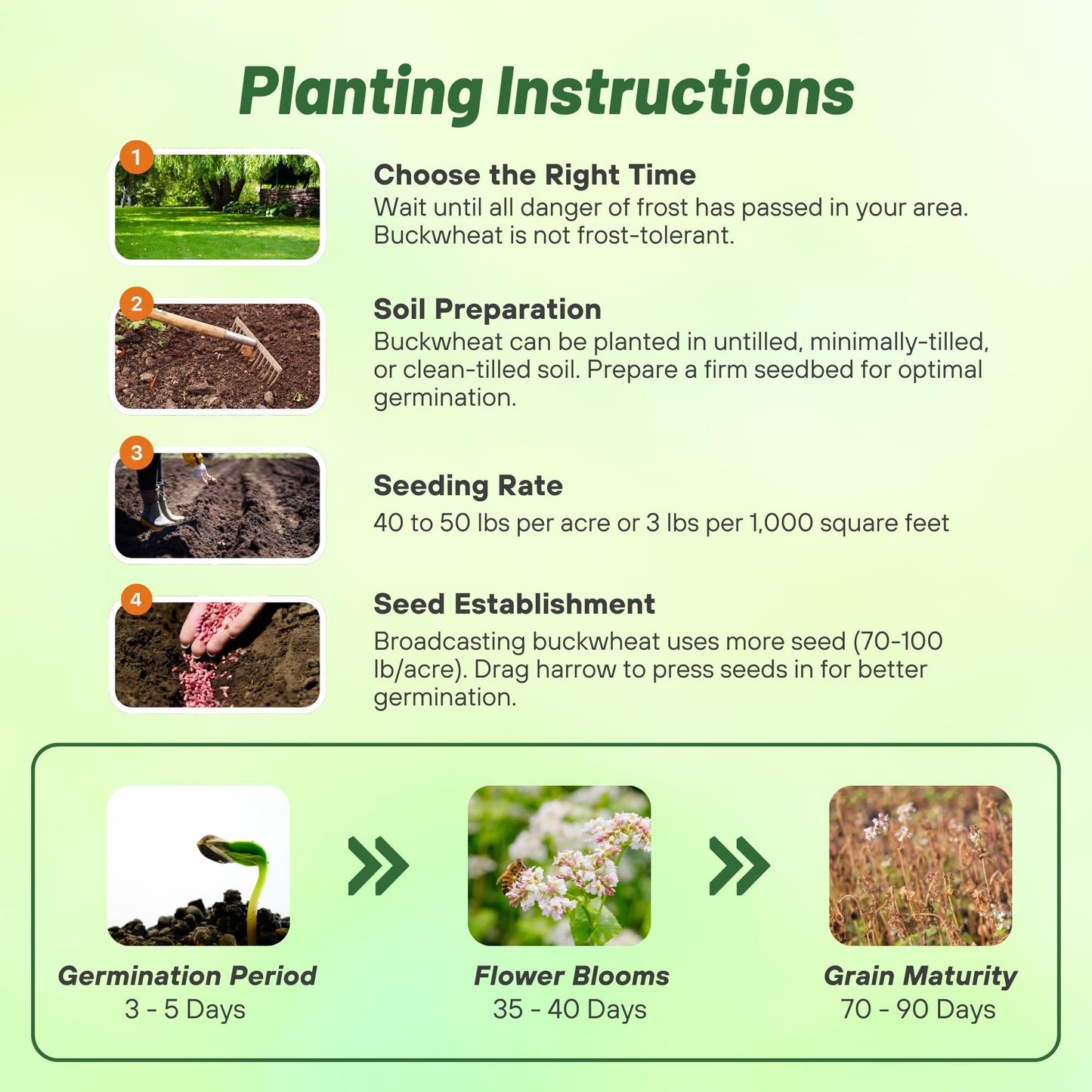 Outsidepride Buckwheat Seeds - 1lb Annual, Fast-Growing, Easy to Grow Buckwheat Cover Crop Seeds for Green Manure, Bee Pasture & Pollinators, Wildlife Habitat, Soil Improvement, and Erosion Control