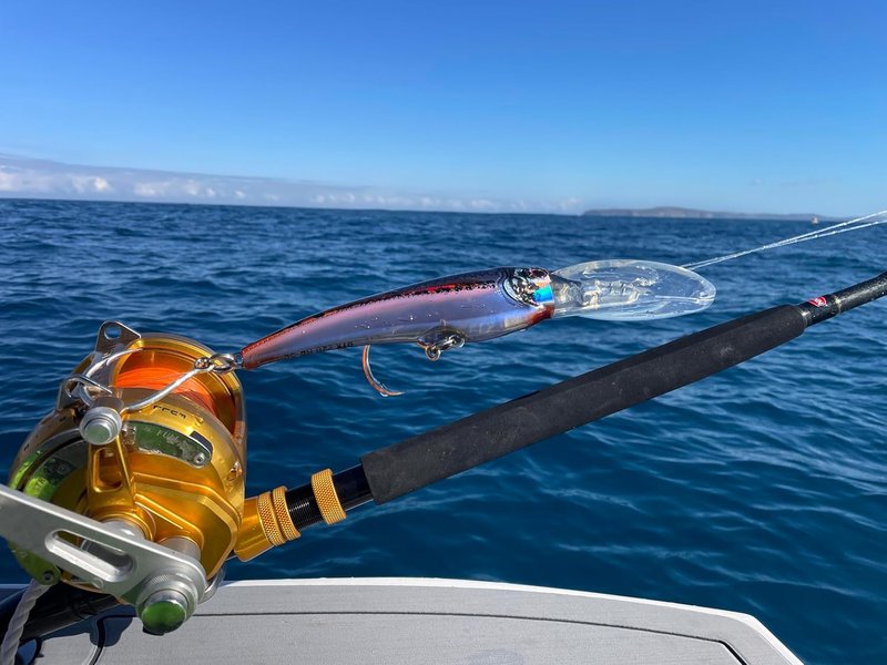 DTX Minnow Lure with Patented Autotune System - Distressed Baitfish Action | BKK Diablo