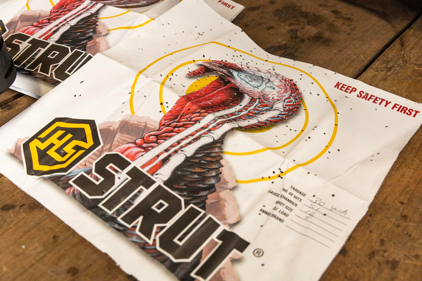 Hunters Specialties Full Size Paper Shooting Practice Turkey Targets - 11 inch x11 inch - 12 Pack