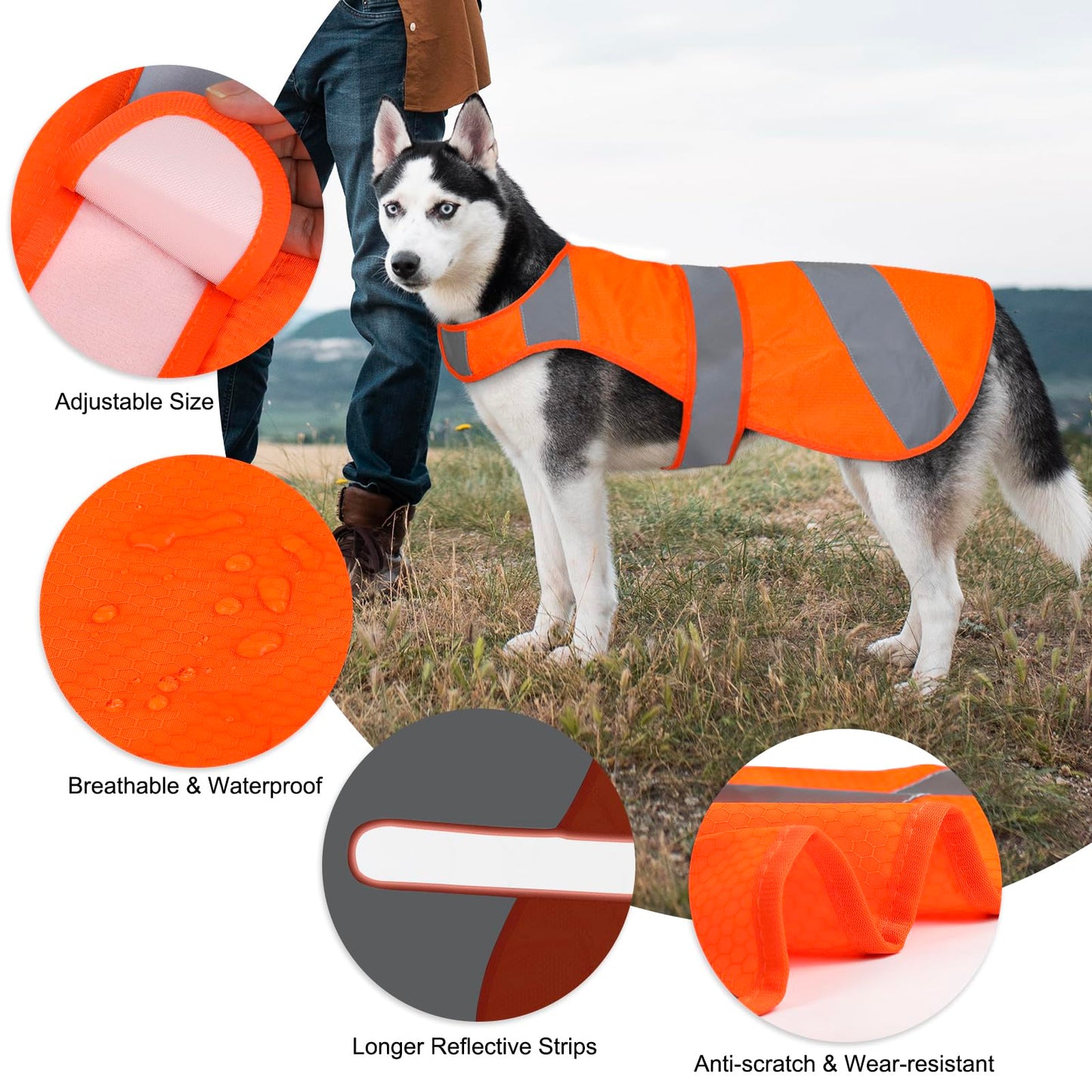 Orange High Visibility Safety Dog Vest, Hunting Jacket, Adjustable Soft Reflective Coat for Small Medium Large Dogs