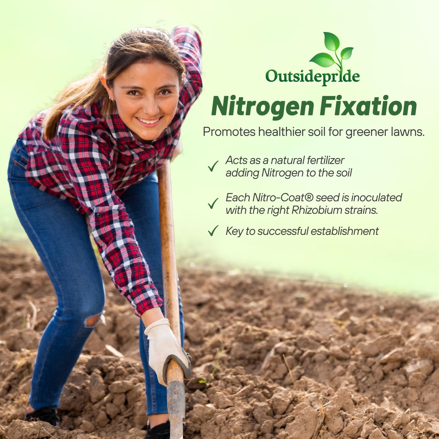 Outsidepride Perennial White Dutch Clover Seed - 40 lbs. Nitrocoated, Inoculated for Lawn Alternative, Erosion Control, Food Plots, Ground Cover, & Pasture Mixtures in USDA Zones 3-10
