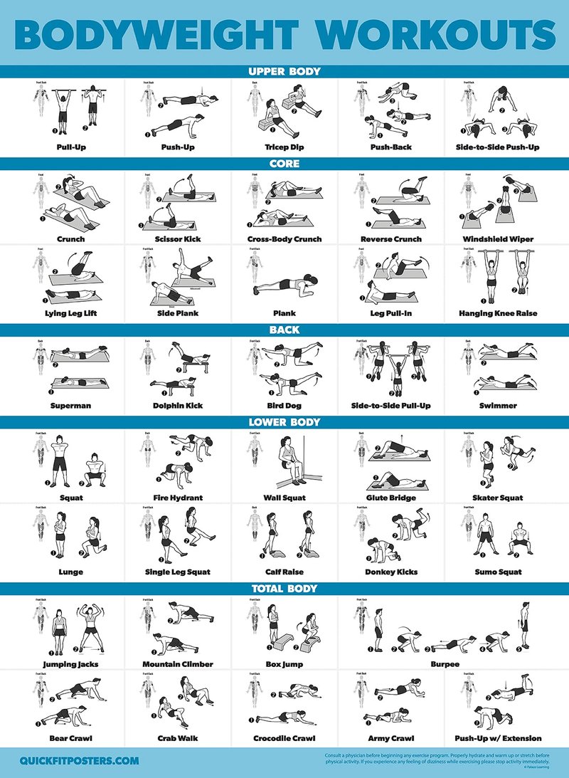 Palace Learning 2 Pack Dumbbell Workouts and Bodyweight Exercise Poster Set - Laminated 2 Chart Set - Dumbbell Exercise Routine & Body Weight Workouts [LIGHT] (LAMINATED, 18” x 24”)