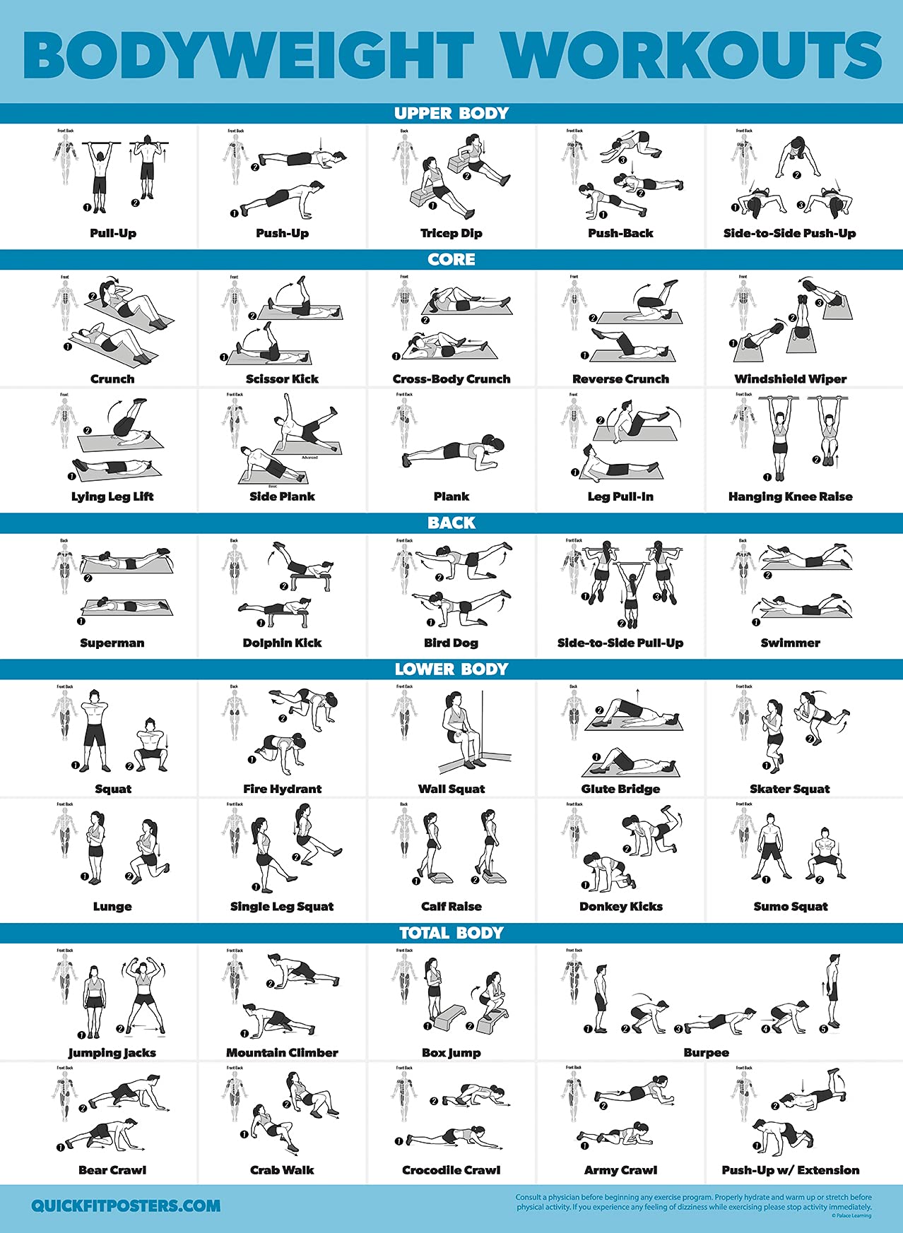 Palace Learning 2 Pack Dumbbell Workouts and Bodyweight Exercise Poster Set - Laminated 2 Chart Set - Dumbbell Exercise Routine & Body Weight Workouts [LIGHT] (LAMINATED, 18” x 24”)