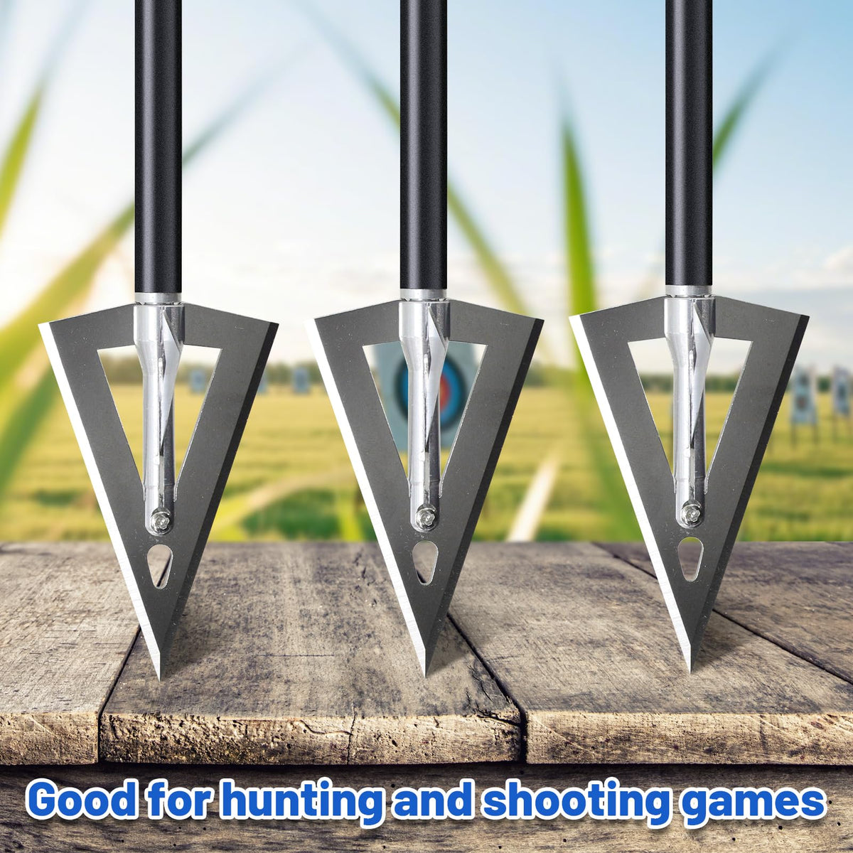 RUOERSISI 12 Pack 180 Grain 1.57 Inch Cutting Diameter Fixed Blade Hunting Broadheadas Traditional Archery Arrow Tips Stainless Steel Arrowhead for Crossbow, Recurve Bow and Long Bow