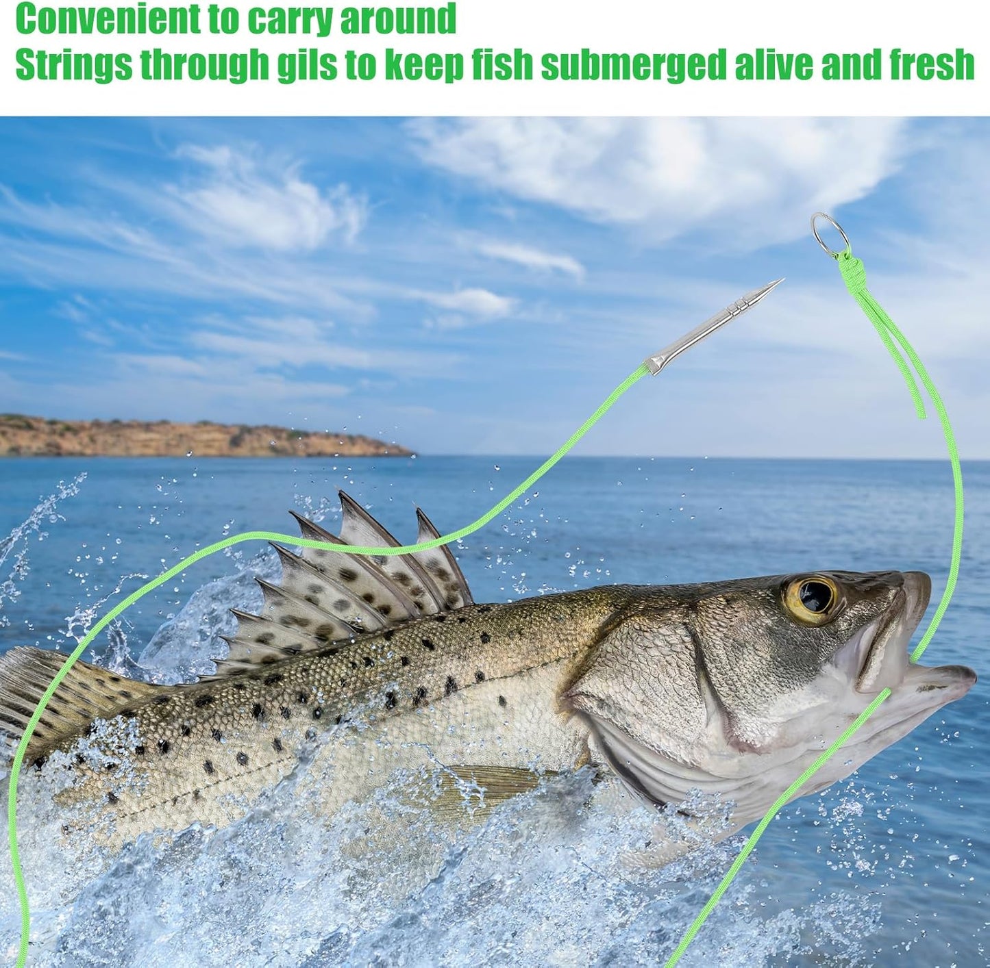 Glow in The Dark Paracord Fishing Stringer - 10 Ft, 550lb Capacity, Stainless Steel Spike & Split Ring