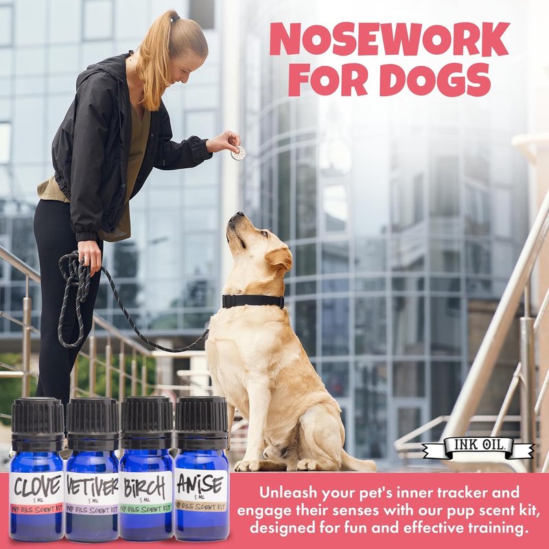 Pup Scent Work Starter Kit | Dog Scent Training with Essential Oils - Anise, Birch, Clove & Vetiver Flavors | Portable Aid Kit