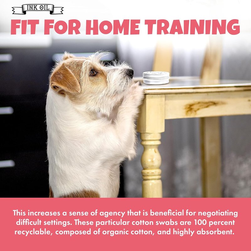 Pup Scent Work Starter Kit | Dog Scent Training with Essential Oils - Anise, Birch, Clove & Vetiver Flavors | Portable Aid Kit