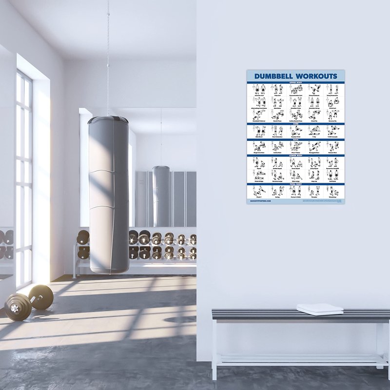 Palace Learning 2 Pack Dumbbell Workouts and Bodyweight Exercise Poster Set - Laminated 2 Chart Set - Dumbbell Exercise Routine & Body Weight Workouts [LIGHT] (LAMINATED, 18” x 24”)