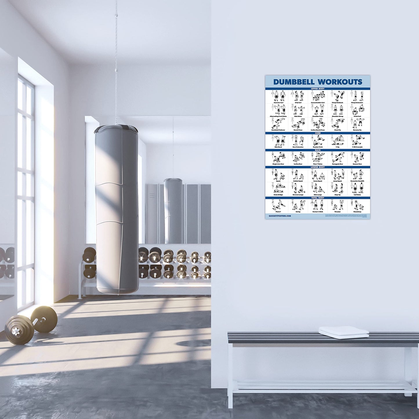 Palace Learning 2 Pack Dumbbell Workouts and Bodyweight Exercise Poster Set - Laminated 2 Chart Set - Dumbbell Exercise Routine & Body Weight Workouts [LIGHT] (LAMINATED, 18” x 24”)