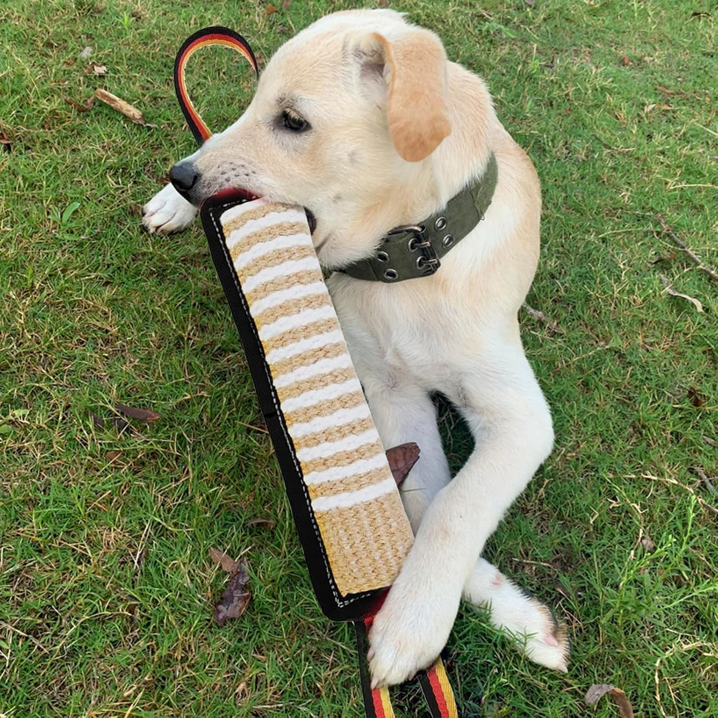 Dog Tug Toy - Tough Jute Pillow with Squeaky Sound & 2 Handles | Interactive Pull Toy for Medium to Large Dogs