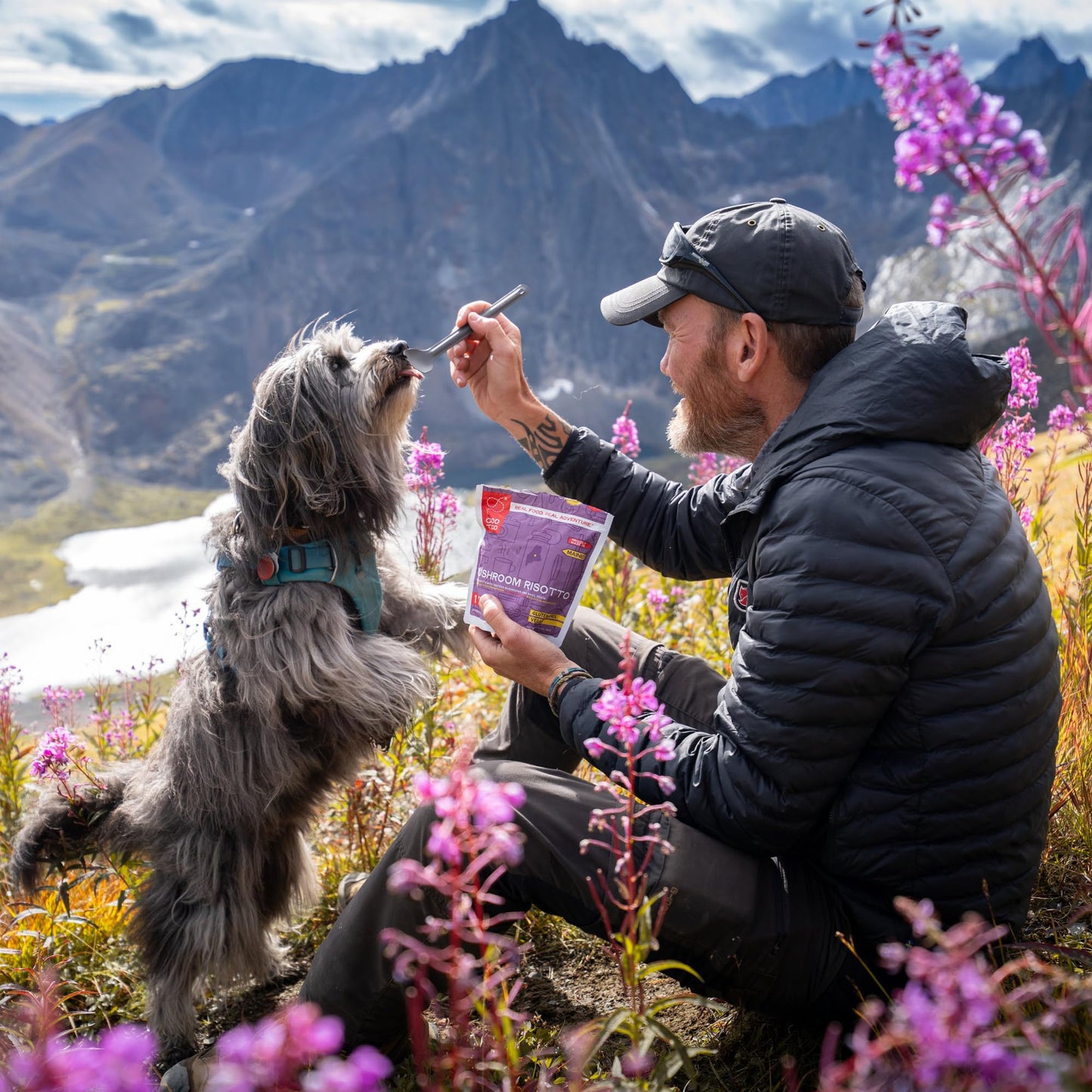 GOOD TO-GO Mushroom Risotto | Camping Food, Backpacking Food (Double Serving) | Just Add Water Meals, Backpacking Meals | Dehydrated Meals Taste Better Than Freeze Dried Meals