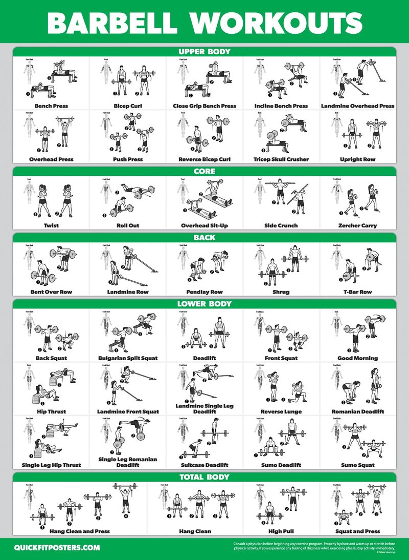 Palace Learning 4 Pack - Dumbbell + Barbell + Bodyweight Workouts - Muscle Set of 4 Laminated Charts (18'' x 24'')