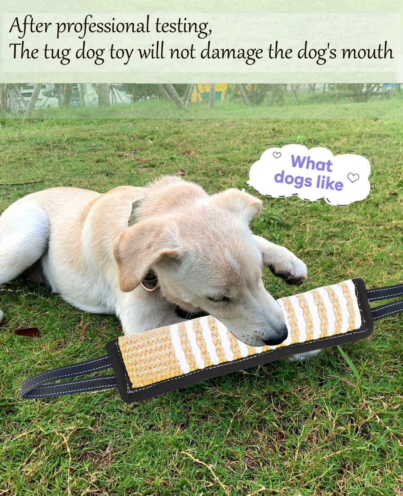 Clysoru Squeaky Tug Toy for Dogs Jute with 2 Strong Handles Lasting Training Equipment Puppy to Large Dog Interactive Toys of War Pull Indestructible Rope Pet Crinkle Teething