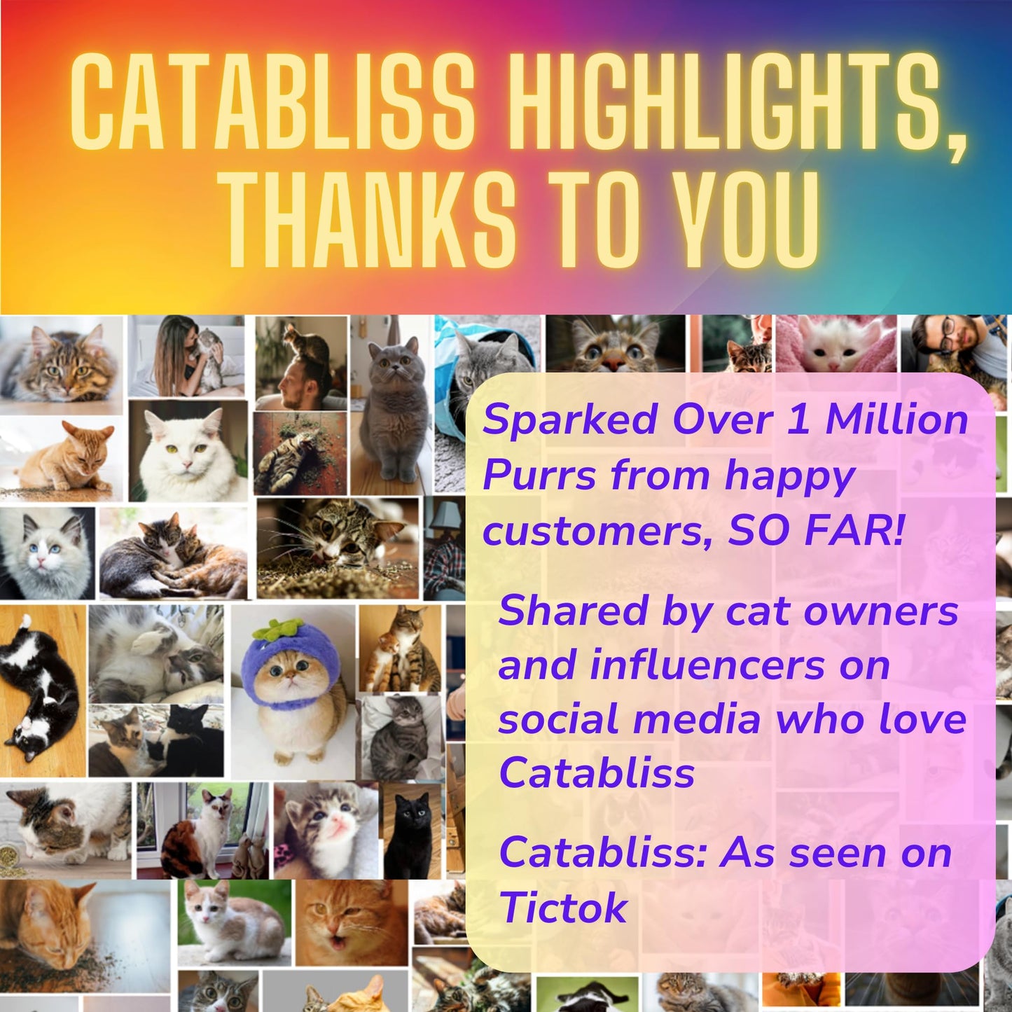 catabliss Catnip for Cats – 1oz Jar - 100% Essential Natural Cat Nip Herb Resealable Jar - Fresh Aroma Stimulates Activity & Enhancing Play for Indoor Cats - Great for Cat Nip Toys, Play & Training