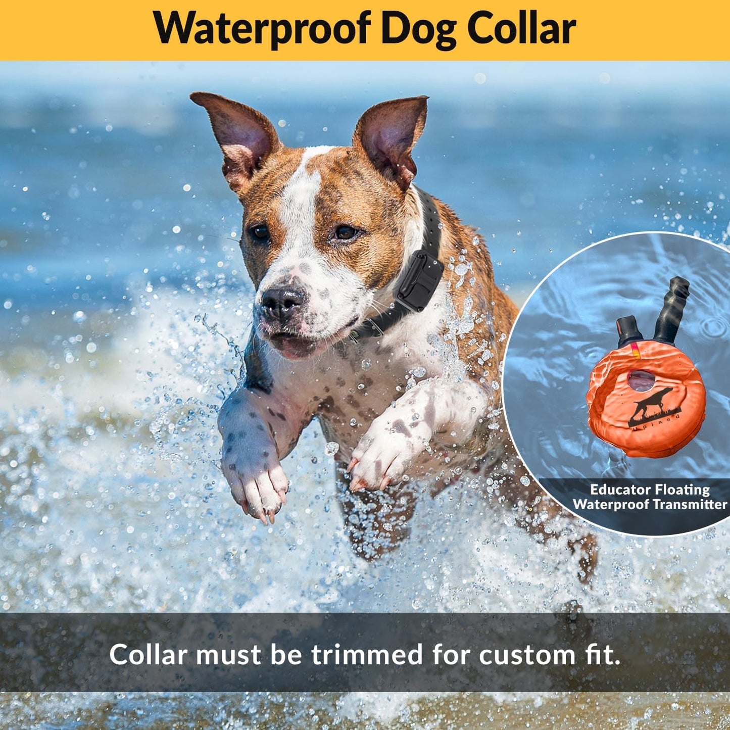 Educator E-Collar Dog Training Collar with Remote | 100 Levels, Waterproof, Rechargeable, Night Light - For Medium/Large Dogs, Orange