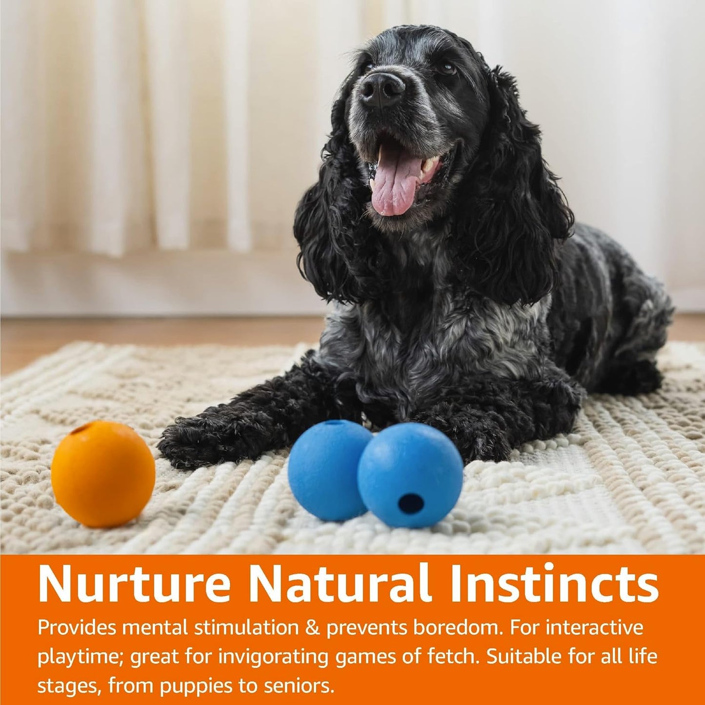 Interactive Bouncy Rubber Dog Toy Balls - Durable 2.5 Inch Pet Balls | Blue & Orange, Pack of 3