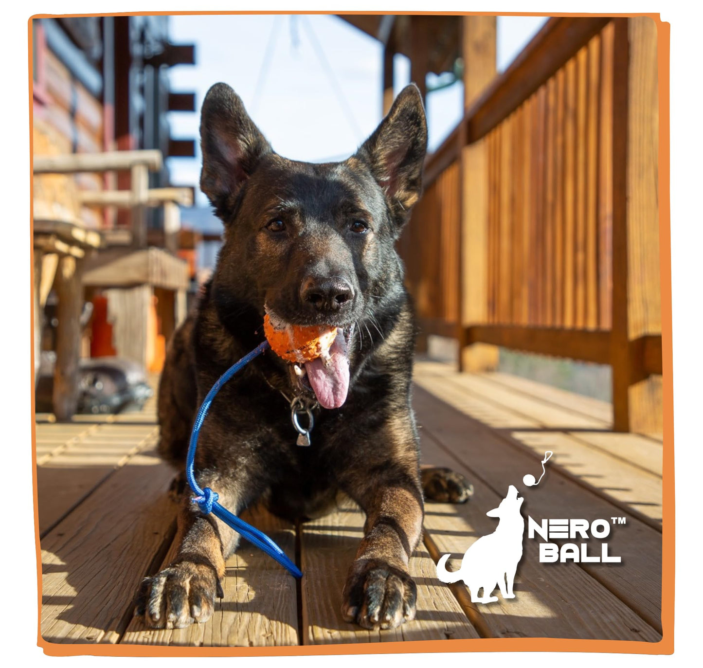 The Nero Ball Classic TM - K-9 Ball On a Rope Reward and Exercise Toy - Police K-9 - Schutzhund