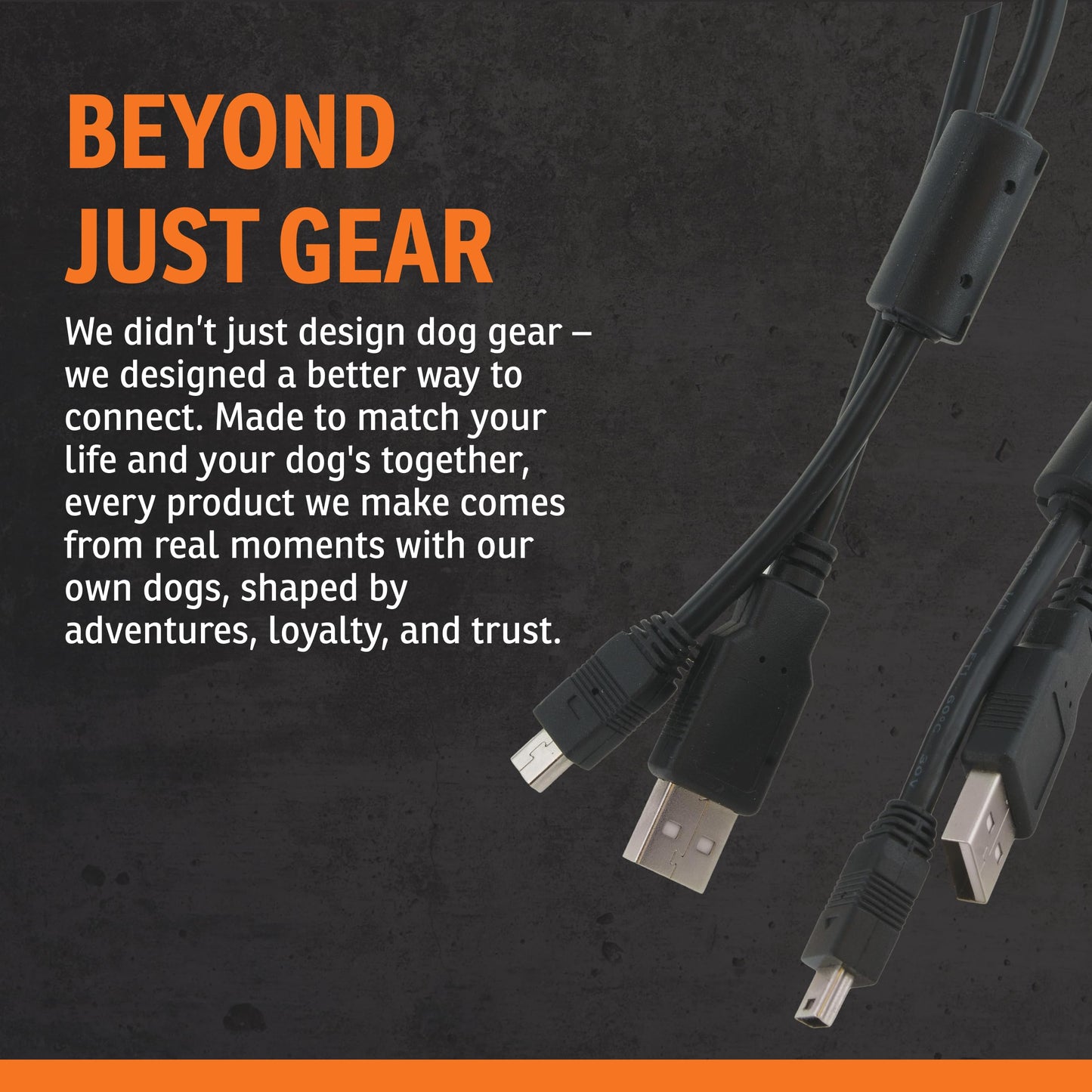 SportDOG TEK Series 2.0 USB Cables - Quality GPS Collar Charging Adaptor Cable - Quickly Connects to Computer or Adaptor for Convenient Use - Reliable USB Connection