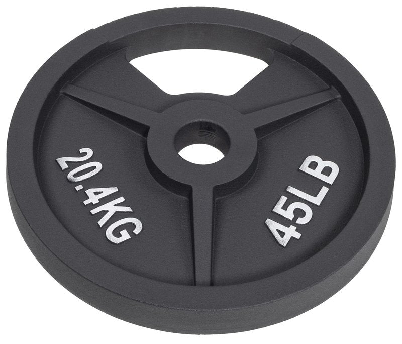 Fitvids Standard Cast Iron 1-Inch Weight Plate for Strength Training & Weightlifting, 5LB Pair