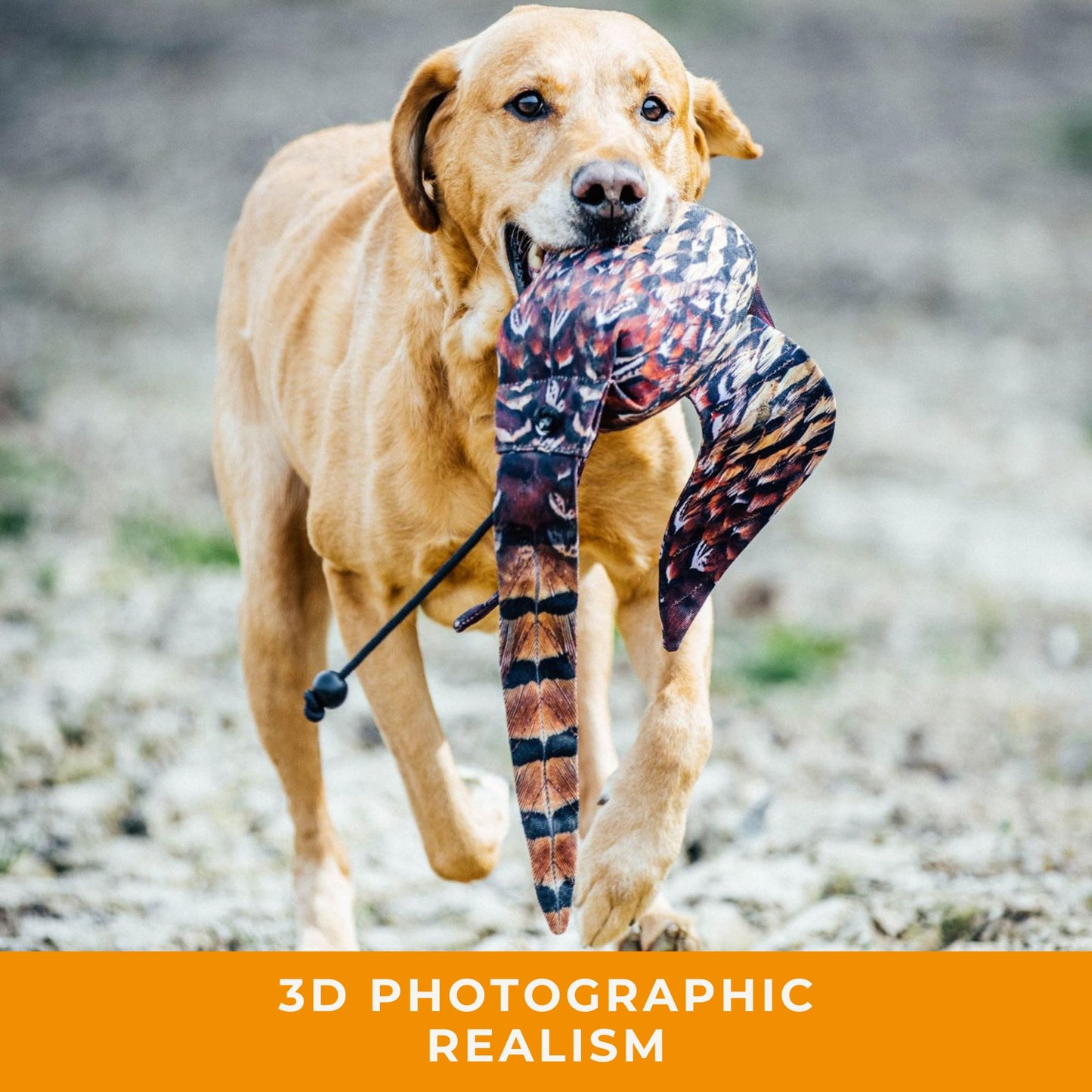 The Original Clone® Realistic Game Bird Dog Training Dummy - Canvas Dummy with HD Feather Print for Gundog & Puppy Training - Dog Hunting Equipment (Hen Pheasant Launcher Dummy)