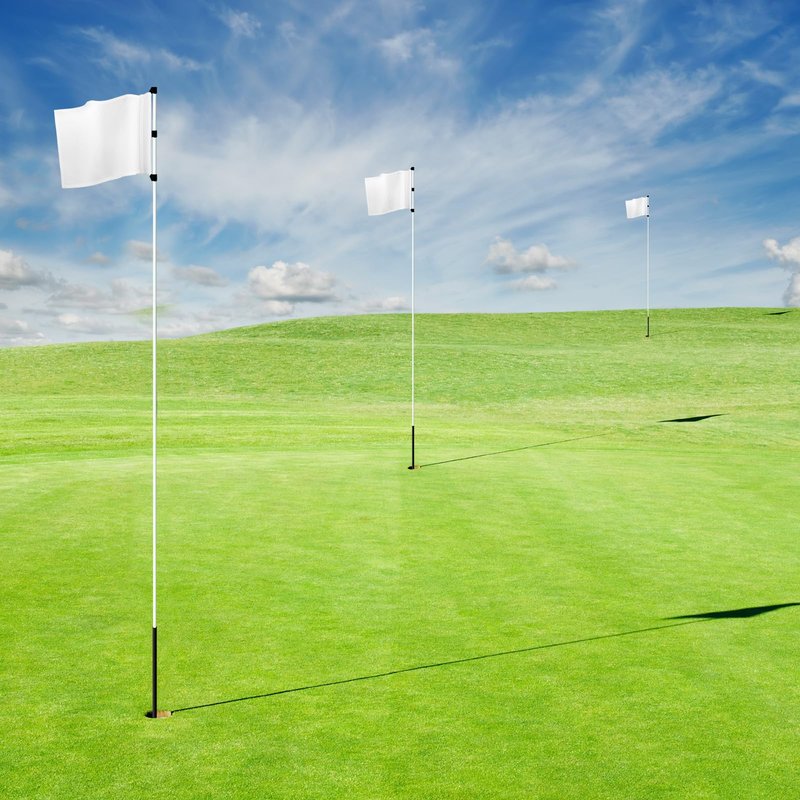 Nuenen 9 Pack Golf Flags 20" l x 13" H Golf Pin Flags White Golf Flags for Yard Tube Inserted, for Backyard Practice, Landscape, Golf Courses, Country Club