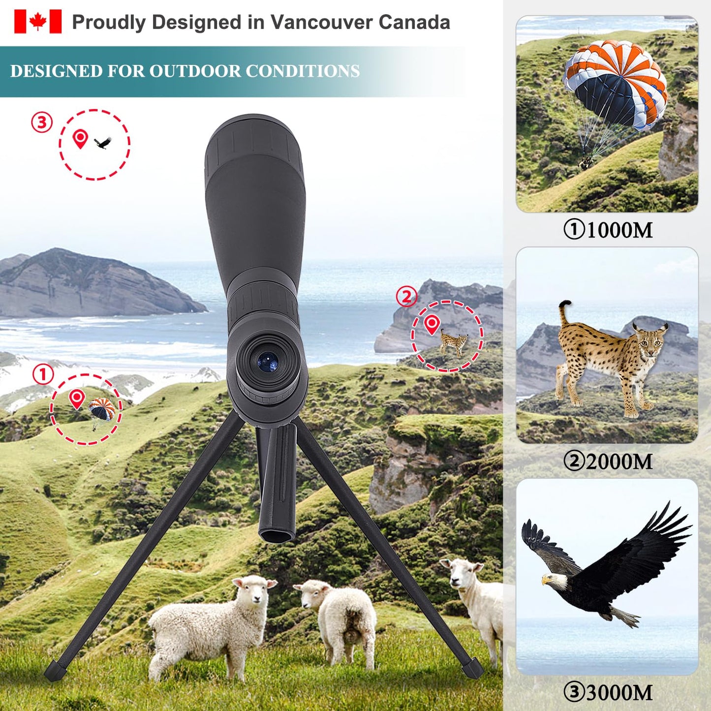 ED 20-60X60 FMC Spotting Scope Compact (Long Range Spotting, Water-Resistant) with Metal Tripod, Carry Bag, Phone Holder (ED 20-60X60)